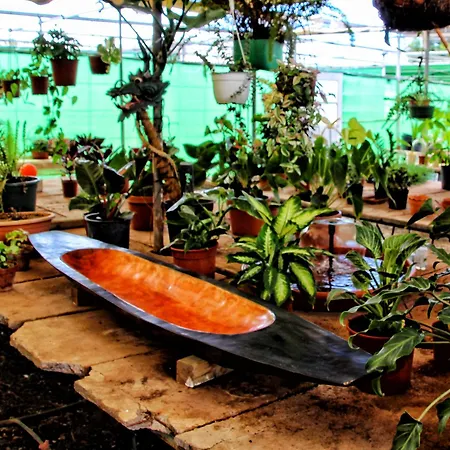 Berolo 4 ギア・デ・イソラ