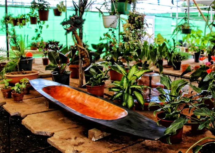 Berolo 4 Guía de Isora