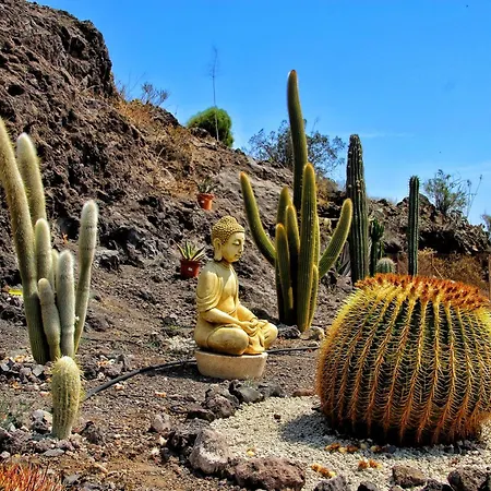 Berolo 4 * Guía de Isora