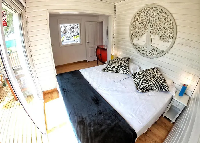 Berolo 4 Guía de Isora