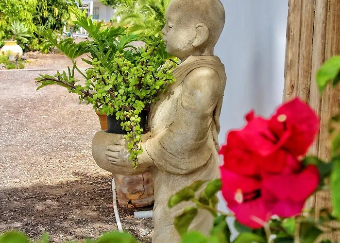 Berolo 4 * Guía de Isora