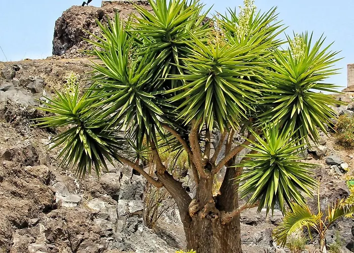 Dom wakacyjny Berolo 4 *