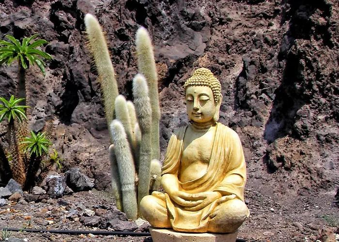 Berolo 4 * 吉亚德索拉