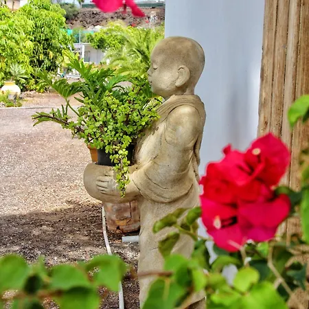 Berolo 4 * Guía de Isora